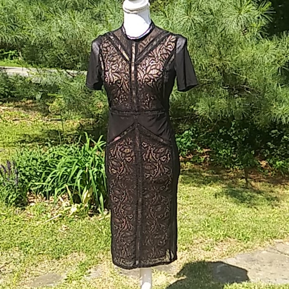 Bardot "Elsie" Lace Sheath Dress